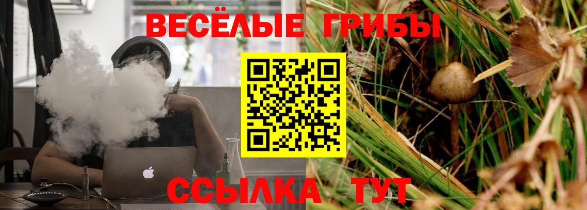 Нарткала  Галлюциногенные грибы мухоморы  Вход с VPN 
